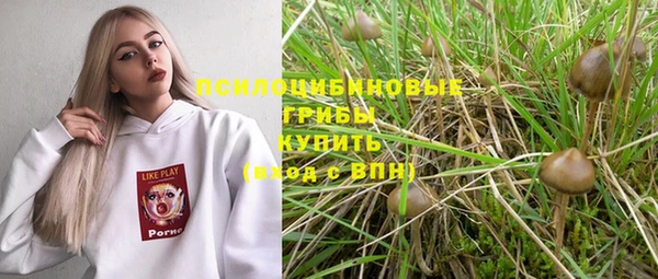 мдпв Арсеньев