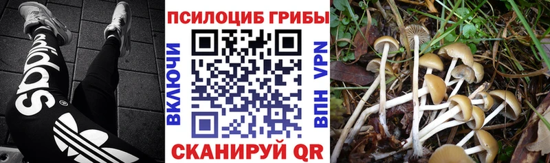 Галлюциногенные грибы Magic Shrooms  закладки  Асбест 